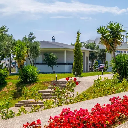 Azalia Garden